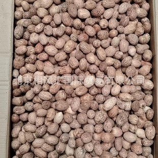 [Mango] Imported Dried Fruits, Dried Shells, Fish Tank Landscaping, Natural Plants, Home Furnishings, Sachet Gifts