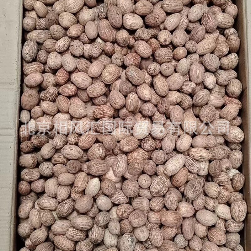 [Mango] Imported Dried Fruits, Dried Shells, Fish Tank Landscaping, Natural Plants, Home Furnishings, Sachet Gifts