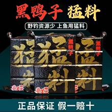 黑鸭子猛料方块饵料海竿野钓鲢鳙江河酸腥臭真腥浓香味抛竿专用饵