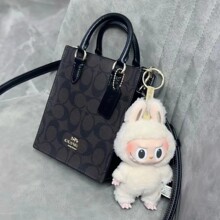 2024�¿�W�RMini tote�����������V�������ϻ�����б��μ��Ů