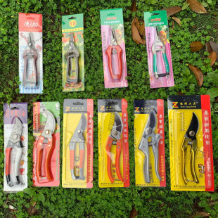 SK5 fruit pruning shears 8-inch labor-saving Fruit tree pruning shears garden gardening tools branch scissors wholesale fruit shears batch delivery