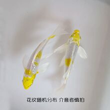 ������\����ˮ�^�p�~���B�׻ˮ���P��β���N���~��ؔ�~�~��