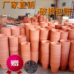 �t�ջ���͸�����������ֲ�ﻨ��Gֲ�҃����Ԉ@ˇ�մ������b����