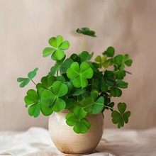 ̨~\ݻN ֲﻨļ׷N҃Ȼ̨50