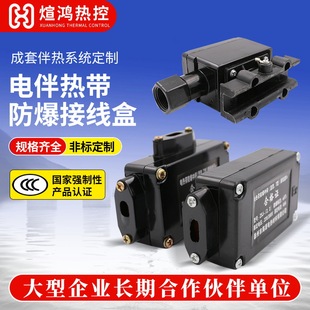 Electric Heating Belt Power Supply Junction Box Explosion-Proof Three-Way Two-Way Junction Box Thermostat Constant Temperature Tail End Heating Belt