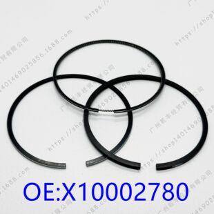 �m�� �P�� F70 1.9T 녃�D20TDlF  �����h X10002780 PISTON RING