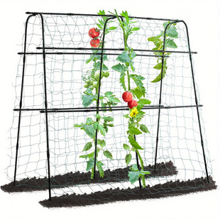 2026�¿�羳���l���@�S�����5Ӣ�߸߽����㶹�����羳