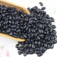 ��ںڶ�С�ڶ��r���S�Ķ�������{������ѿ����s�Z�����F؛���l