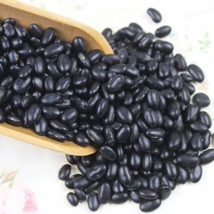 ��ںڶ�С�ڶ��r���S�Ķ�������{������ѿ����s�Z�����F؛���l