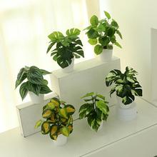 仿真植物龟背叶绿萝西瓜叶PE软胶胶布盆景盆栽仿真花套装组合跨境