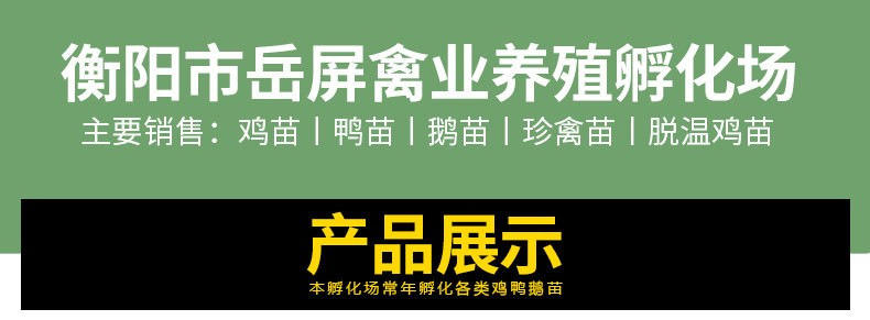 10391552547_1212232315