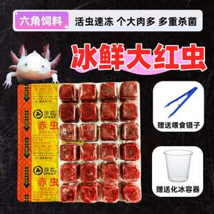 �����t�x�^�p�~�Z���ǿ����~��Ϟ����^�p���rʳ����t��Ѫ�x���x