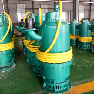 ú�V��BQS1500-55-315/N�V�ø����͝�ˮ��ɳ늱� ������P���h