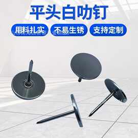 平头白叻泡钉多种规格软包硬包图钉按钉沙发钉工厂直销