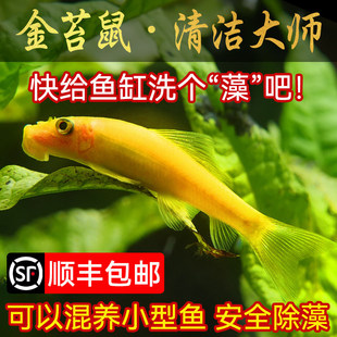 ��̦���~�Ꭷ�^�p�~��������~�~�׳����~�坍�~���~�����~��̦��