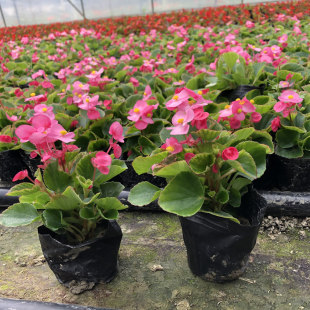 �ļ�����12���I�B�� ������ �r��� �ɶ��@�־G�� ���@����ֲ��