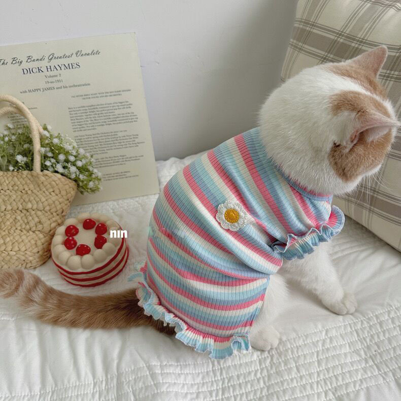 36071409-9851-4f2b-8363-b2ee5252a4f7.jpe