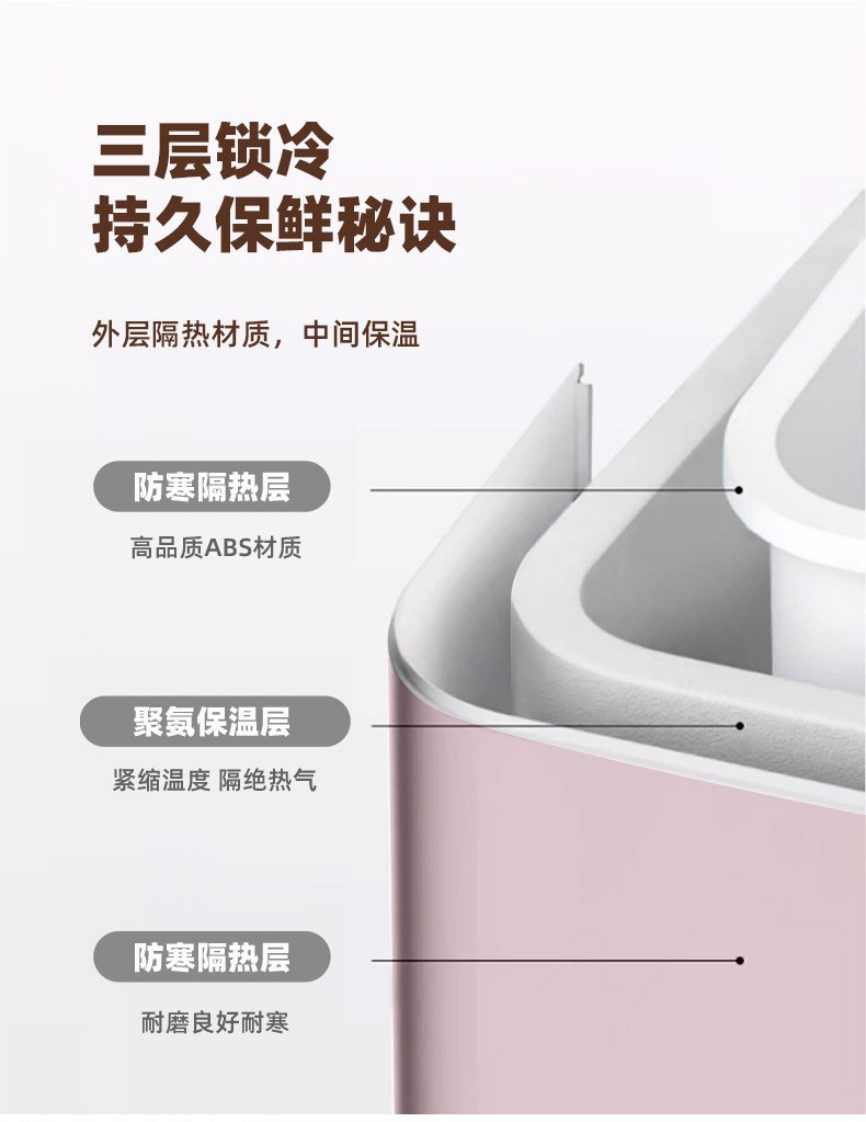 Car Beauty Mini Refrigerator Car Home Dual-use Refrigerator with Light and Mirror Multi-functional Mini Incubator