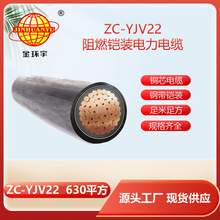 ��h����|  ��ȼ�z�b��|ZC-YJV22 1X630 �ɼ���