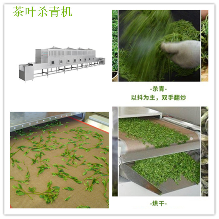 供应微波茶叶杀青烘干设备