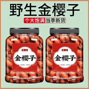 ���x������ݾ�ș��Ұ����ș�����r�����ӽ�Ӣ���͌������ʿ��l