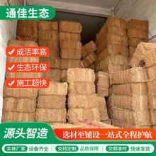 新疆椰网矿山修复绿化椰棕网CF网椰丝网植物纤维网椰丝毯