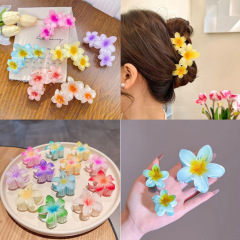 欧米のクロスボーダーの超仙のカラーの卵の花のヘアピンの花はレトロな女性の側をつかんで半つかみの後頭部のサメをつかみます。