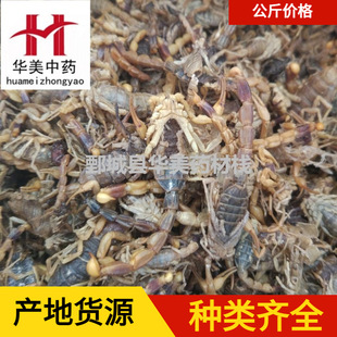 ϐ��1000���A����ș�����l�F؛���������a��؛Դȫ�x��؛����ă�