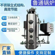 1-3吨大型燃油燃气蒸汽发生器出汽足升温快高效节能蒸汽清洗