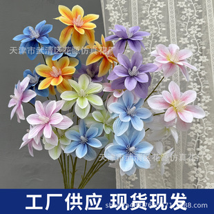 ��cƽ�r3D���m������ٻ���Y·�������廨�b�ӆ����鷿����