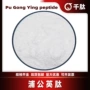 小分子原料保健品蒲公英