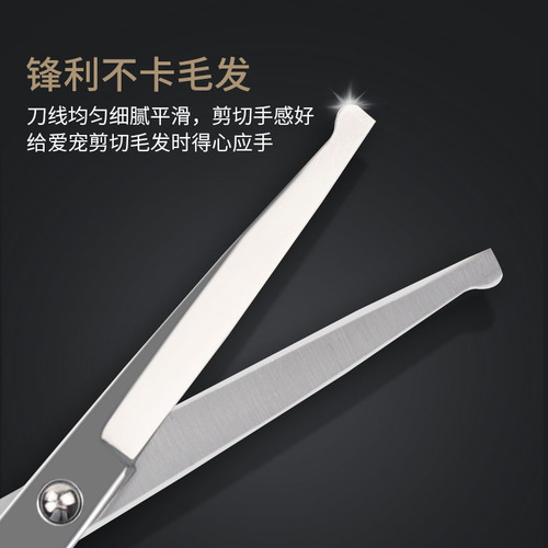 6-inch Teddy dog ​​shearing scissors, pet scissors, cleaning and beauty tools manufacturer, pet scissors, pet supplies