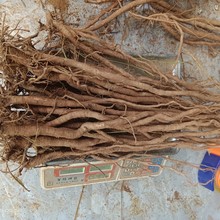 �V��ǧ�����ș�ĬF��ԭ�a�ذl؛�Ҝ��ݾ�һ�l�����Rׯș���в�ș