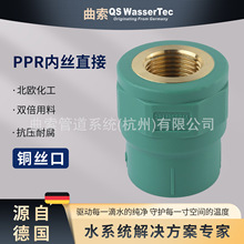 QS WasserTec����PPR�Ƚzֱ�Ӄ���20x1/2�߶˼��bpprˮ������ܼ�