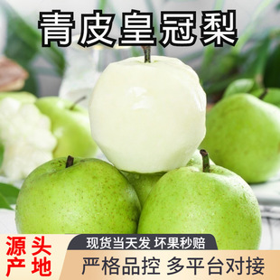 ��Ƥ����10��������r����ˮ���ӱ��ʹ�������Ƥ��֭��5������