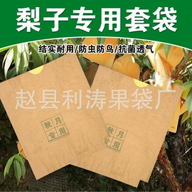水果套袋;纸袋;生鲜水果包装
