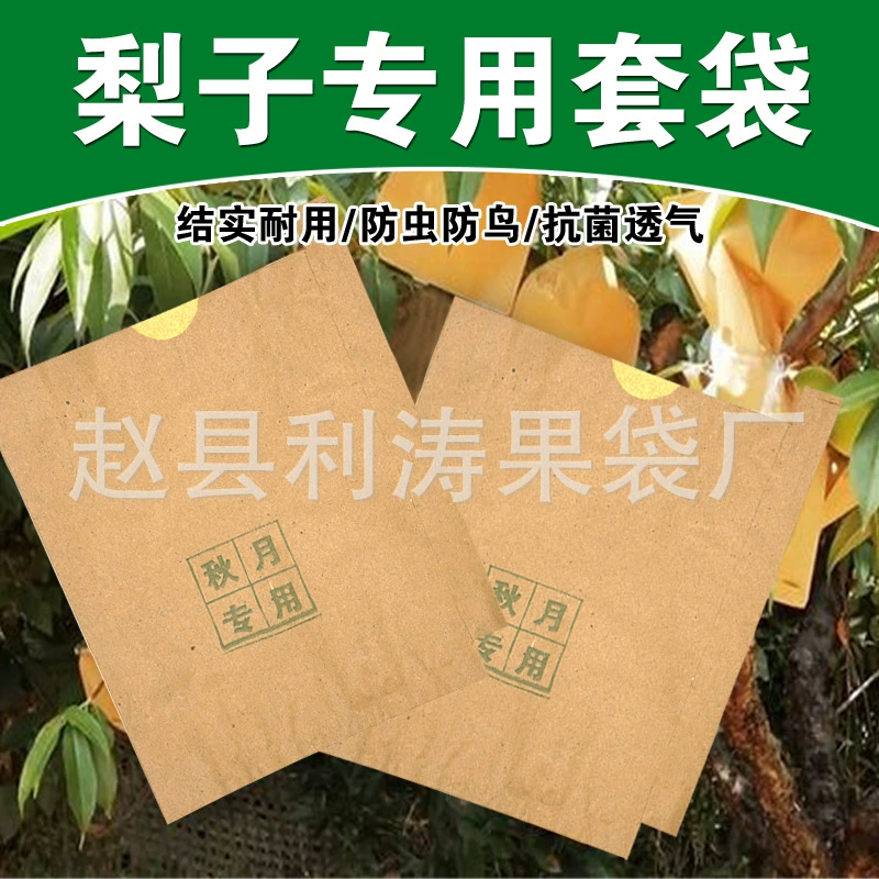Мешки для упаковки осенних груш, желтые груши для поздней осени, груши с коричневой кожурой, двухслойные, защищающие от насекомых и птиц, биоразлагаемые, дышащие, водонепроницаемые.