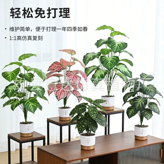 18头假花花客厅摆设卧室落地仿生绿植盆栽摆件龟背室内装饰假植物