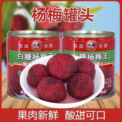 新鲜杨梅罐头新水果罐头日期专用烘焙糖水罐头零食大罐鲜果铁罐装