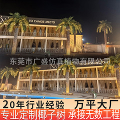 仿真椰子树大型人造仿真树大王椰子树厂家户外水乐园假树广场装饰