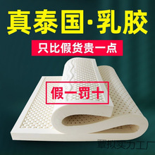 2025�¿�̩����Ȼ���z���|���˴��|����ܛ�|���ÌW��1.2m��DIY