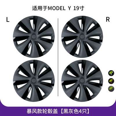 Hub cover: Cover Rings Wholesale - model-y-19inch-storm-color-matching-all-inclusive-hub-caps