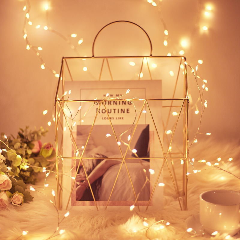 New products recommended LED copper lamp string waterproof male and female connected to 6 meters 200 lamp indoor low voltage decorative lamp wholesale