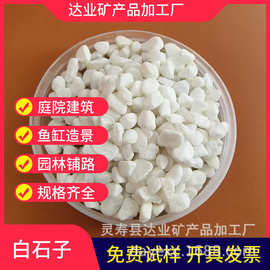 水磨石子日式枯山水白石子白色砾碎石园林造景水洗石白鹅卵石