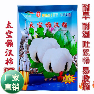 ���l�޻��N�� �޻��\�����ތ�һ�����ݱ�ֲ����������ľֲ��