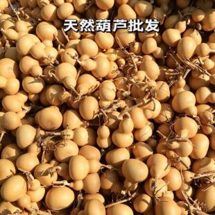 ��ȻС���J�������澫�����B�����^�����ֶղ�����ְѼ���Ȼ���J