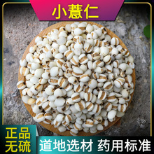 薏仁中药材正宗贵州薏米仁新货500g炒薏苡仁小粒糯意薏仁小薏米仁