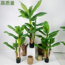 �¿����Gֲ���԰Ž����҃ȴ��;Gֲ�쾰�������ؔ[��������