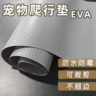 EVA�������Љ|�ӄ������з����|�������������r�|��ω|���R�d