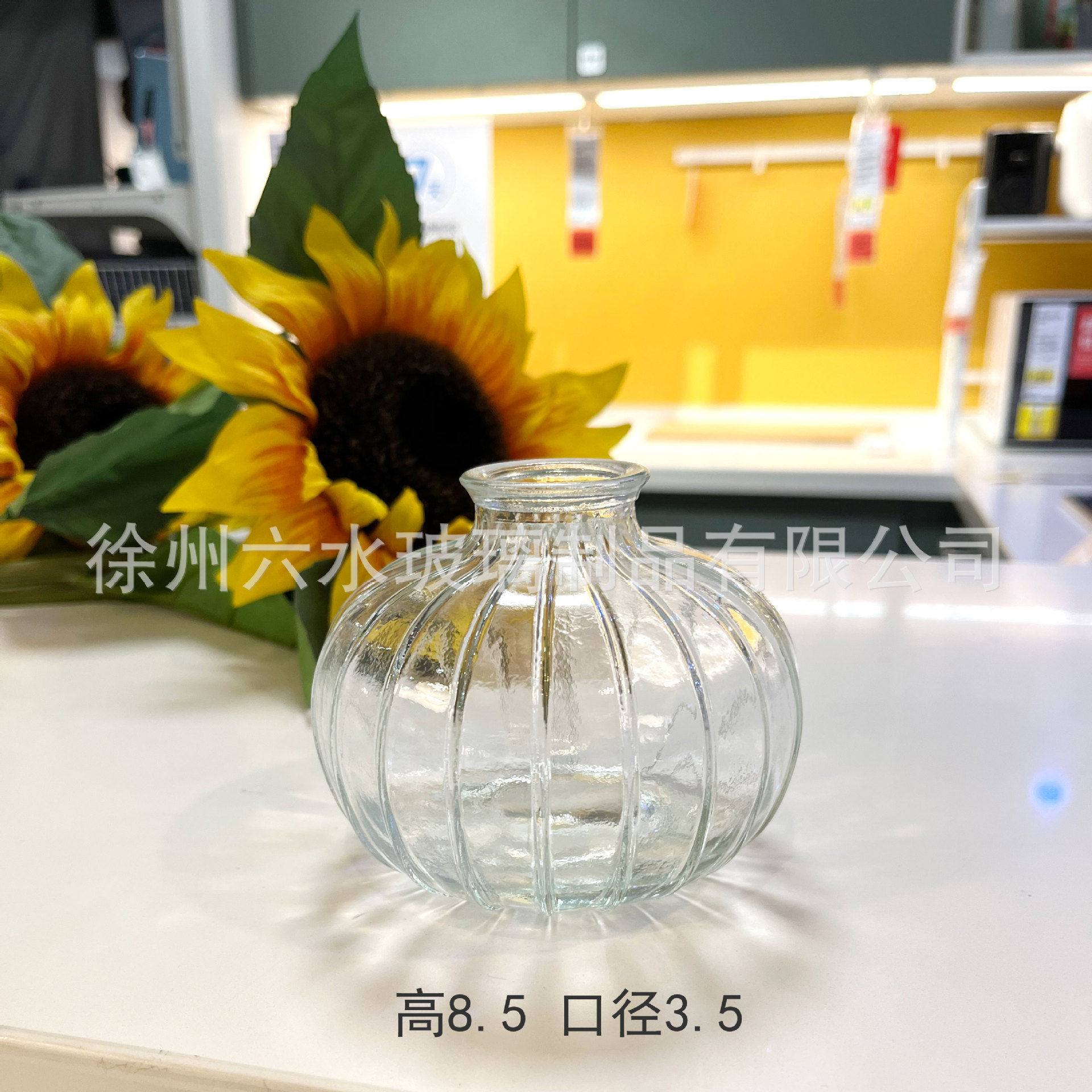 C타입 투명